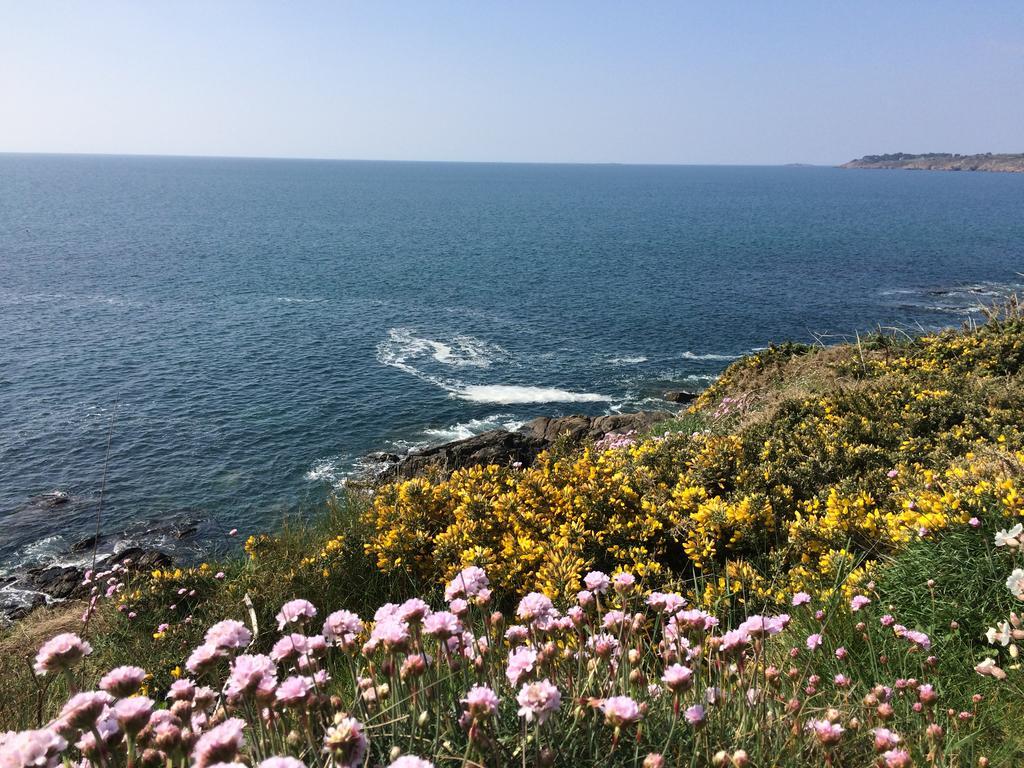 La Belle Relax - Calme Et Tranquillite Assures - 2 Personnes Moelan-sur-Mer Exterior foto