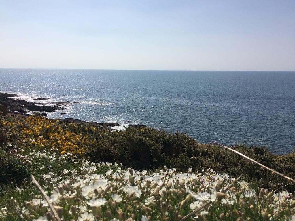 La Belle Relax - Calme Et Tranquillite Assures - 2 Personnes Moelan-sur-Mer Exterior foto