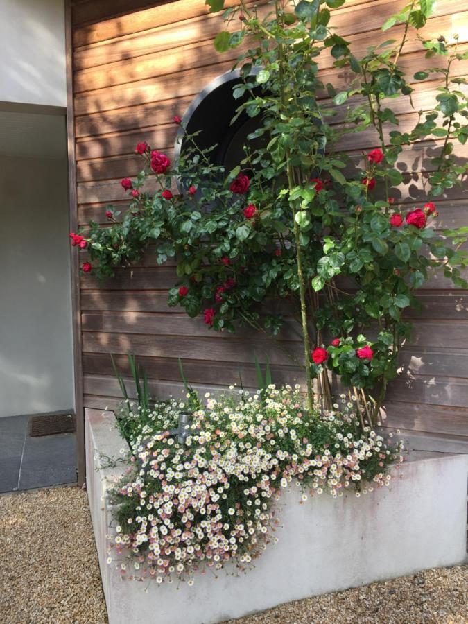 La Belle Relax - Calme Et Tranquillite Assures - 2 Personnes Moelan-sur-Mer Exterior foto
